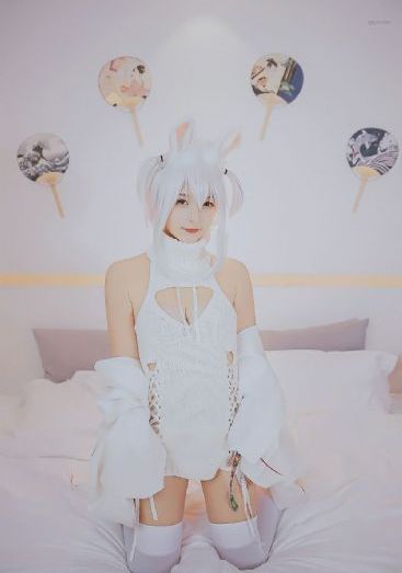 蓝色档案电视剧免费观看
