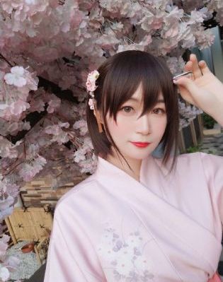 《请君》电视剧免费观看完整版