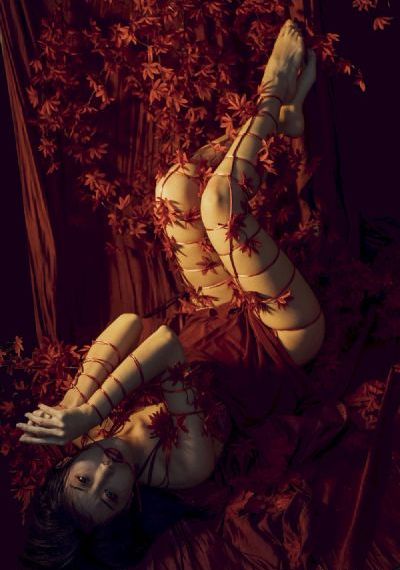 欧美贵妇性聚会hd