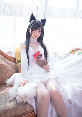日韩在线视屏